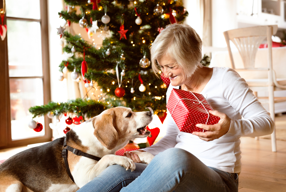 Holiday safety tips for seniors