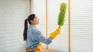 Light Housekeeping Services